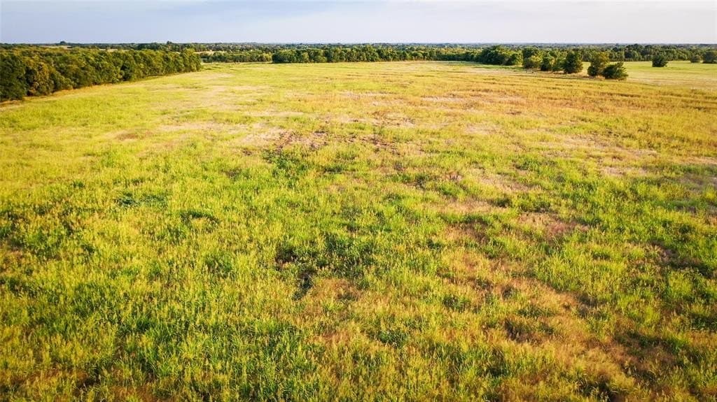 344.31 acres in Lamar County - photo 18