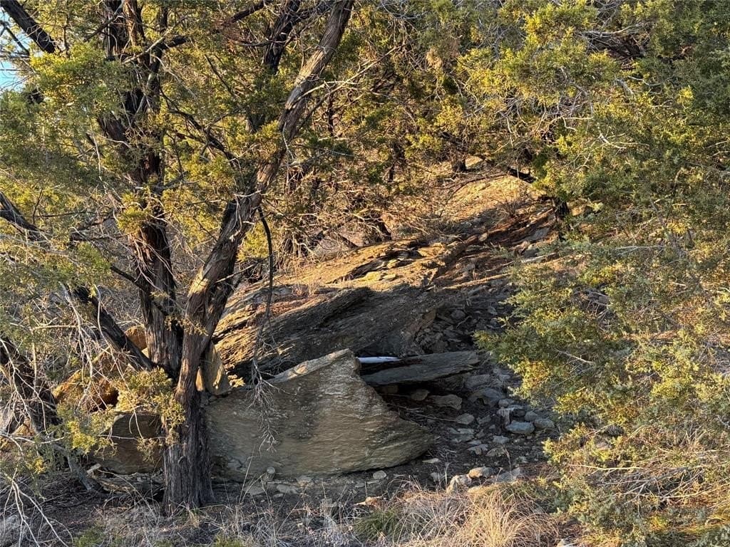 2.02 acres in Palo Pinto County - photo 7