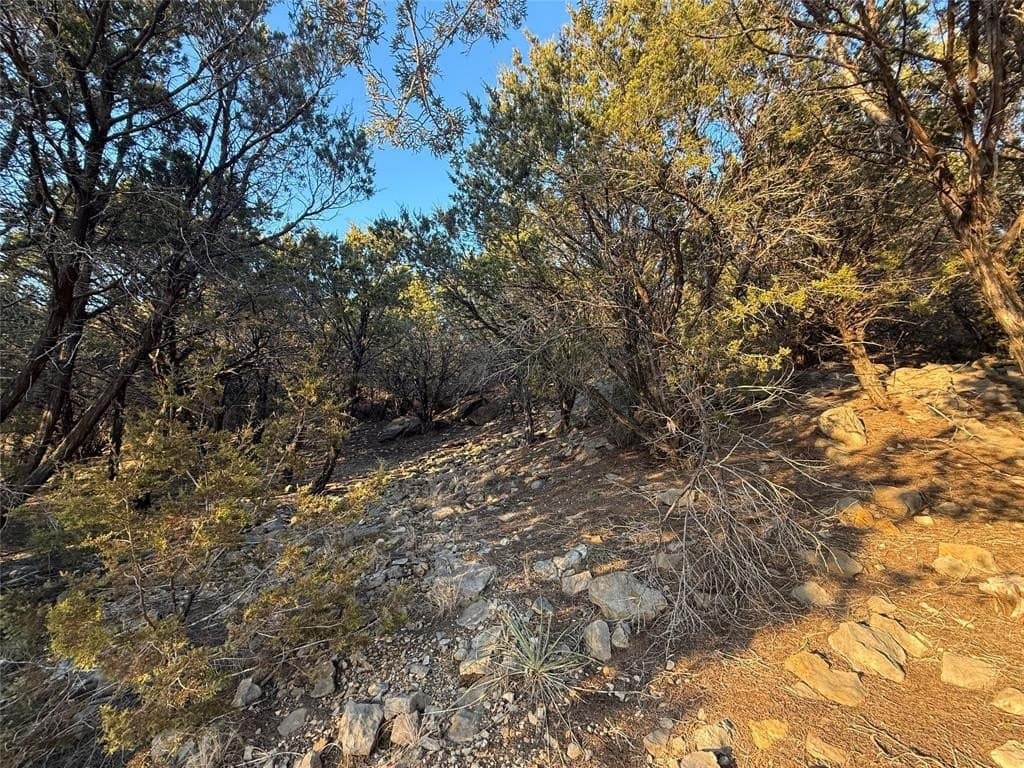 2.02 acres in Palo Pinto County - photo 8