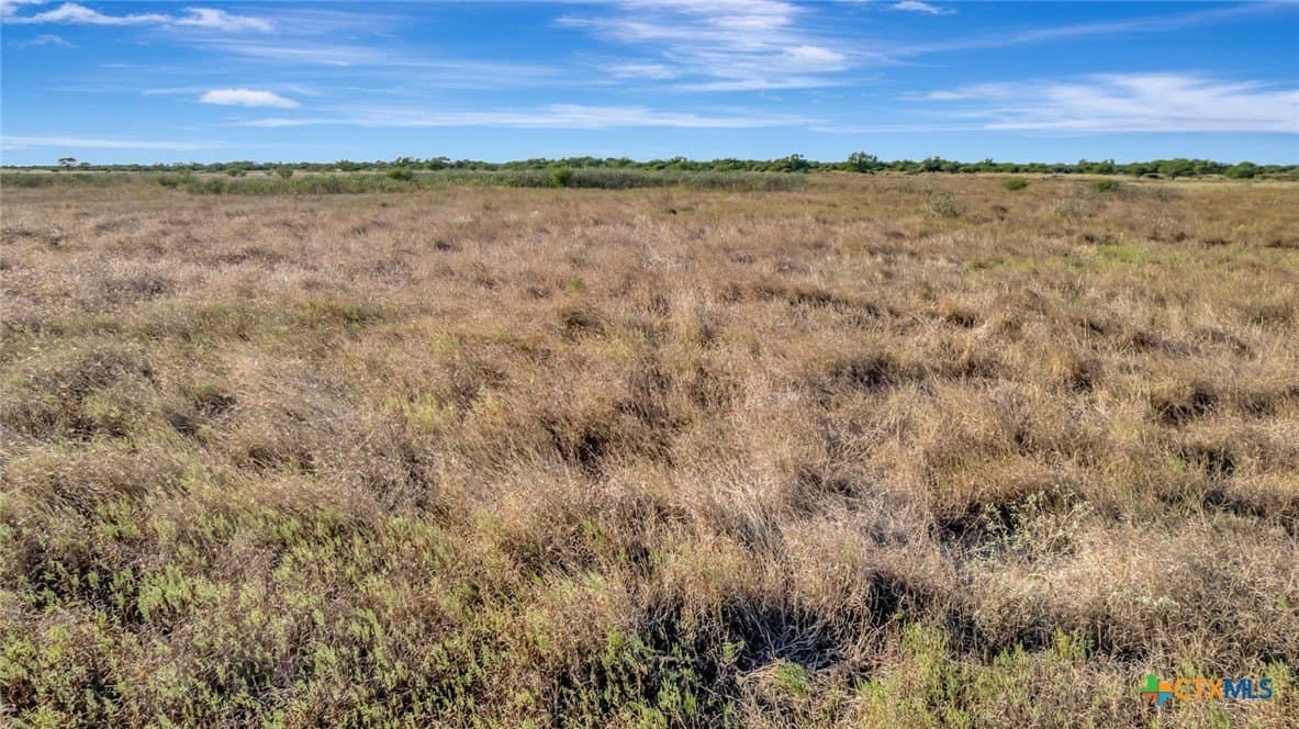 10.32 acres in Victoria County - photo 10