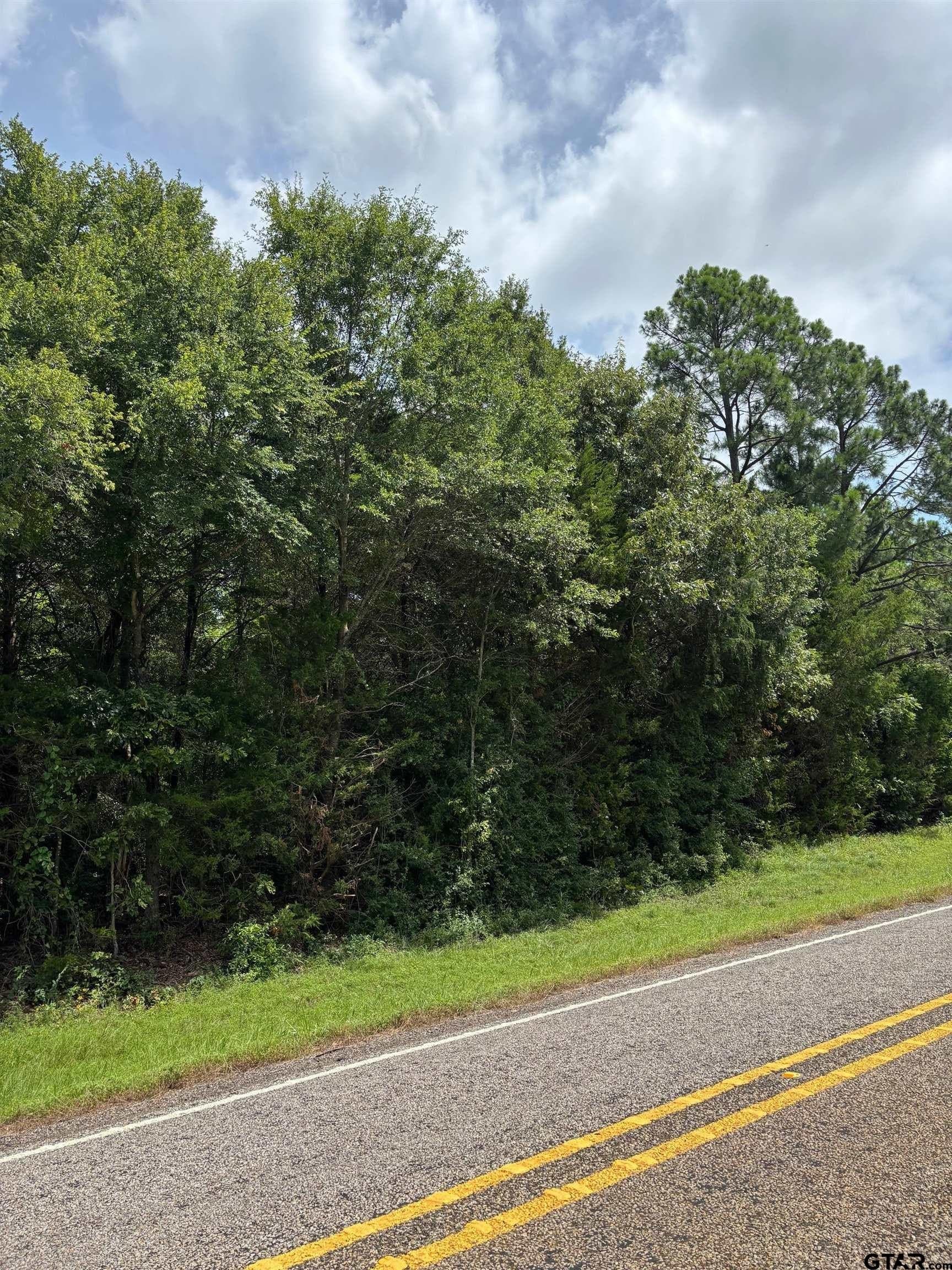 10 acres in Wood County - photo 12