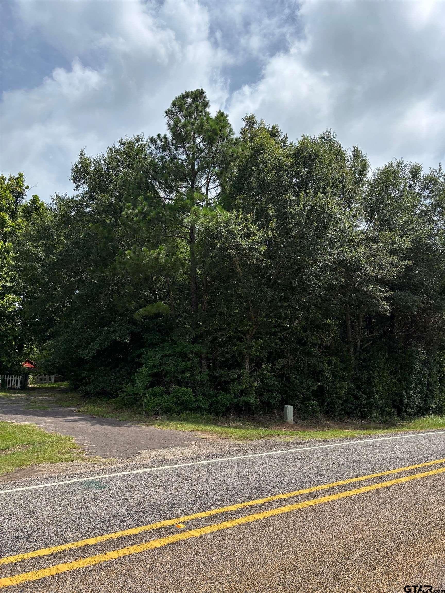10 acres in Wood County - photo 6
