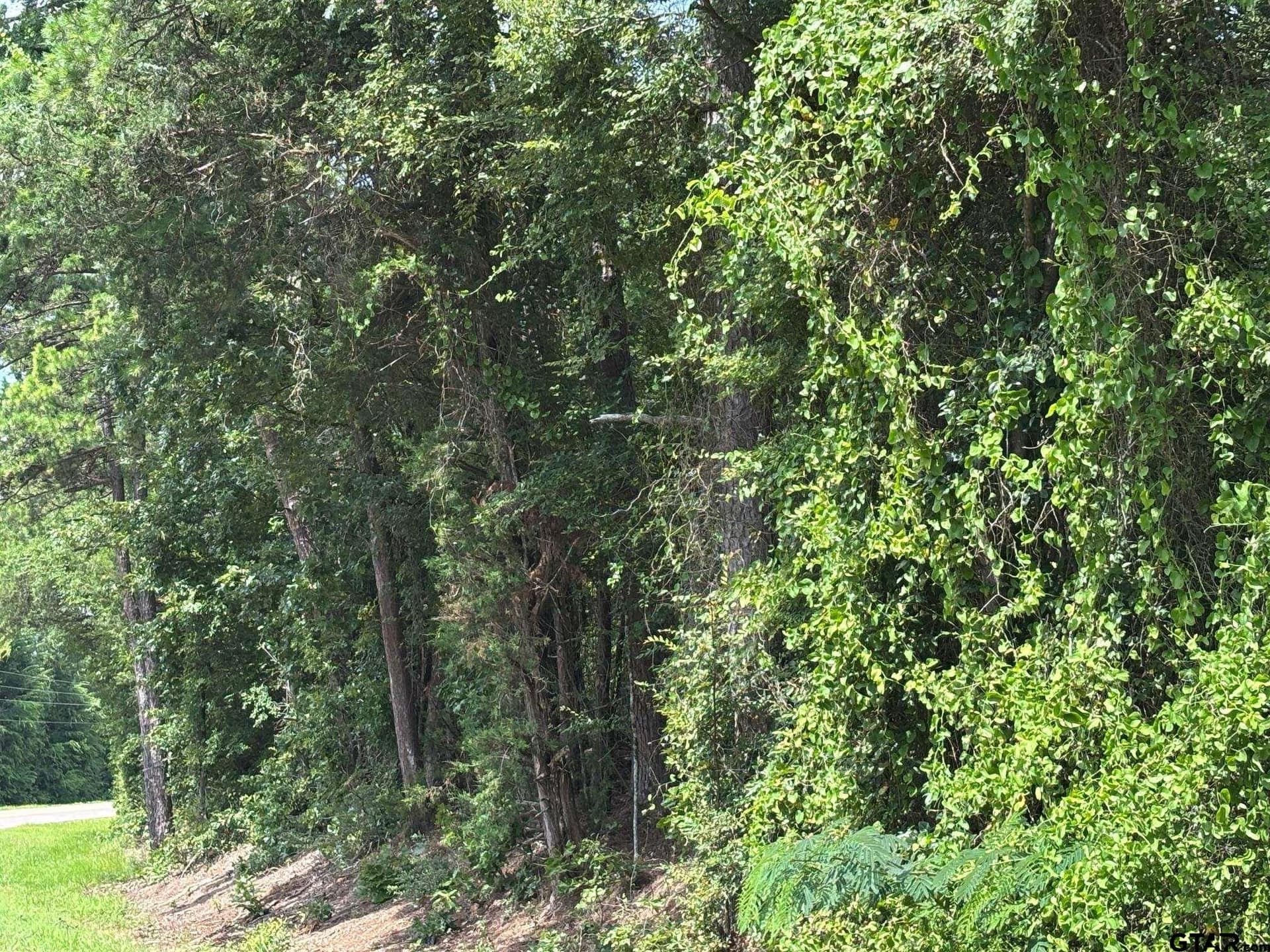 10 acres in Wood County - photo 3