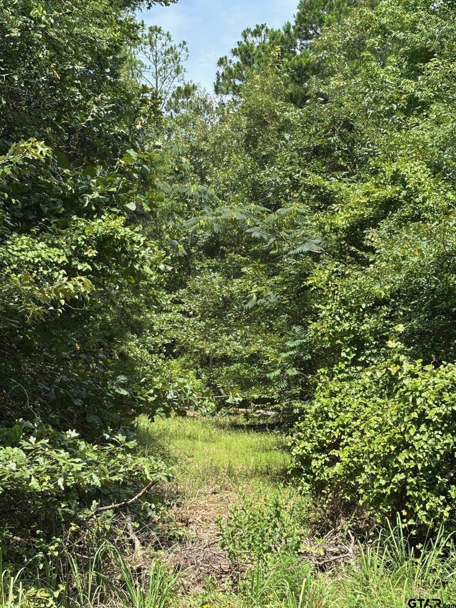 10 acres in Wood County - photo 4