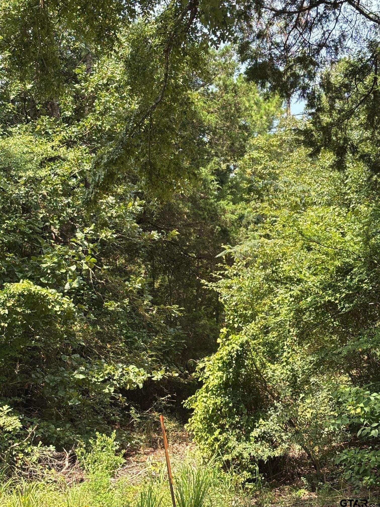 10 acres in Wood County - photo 10