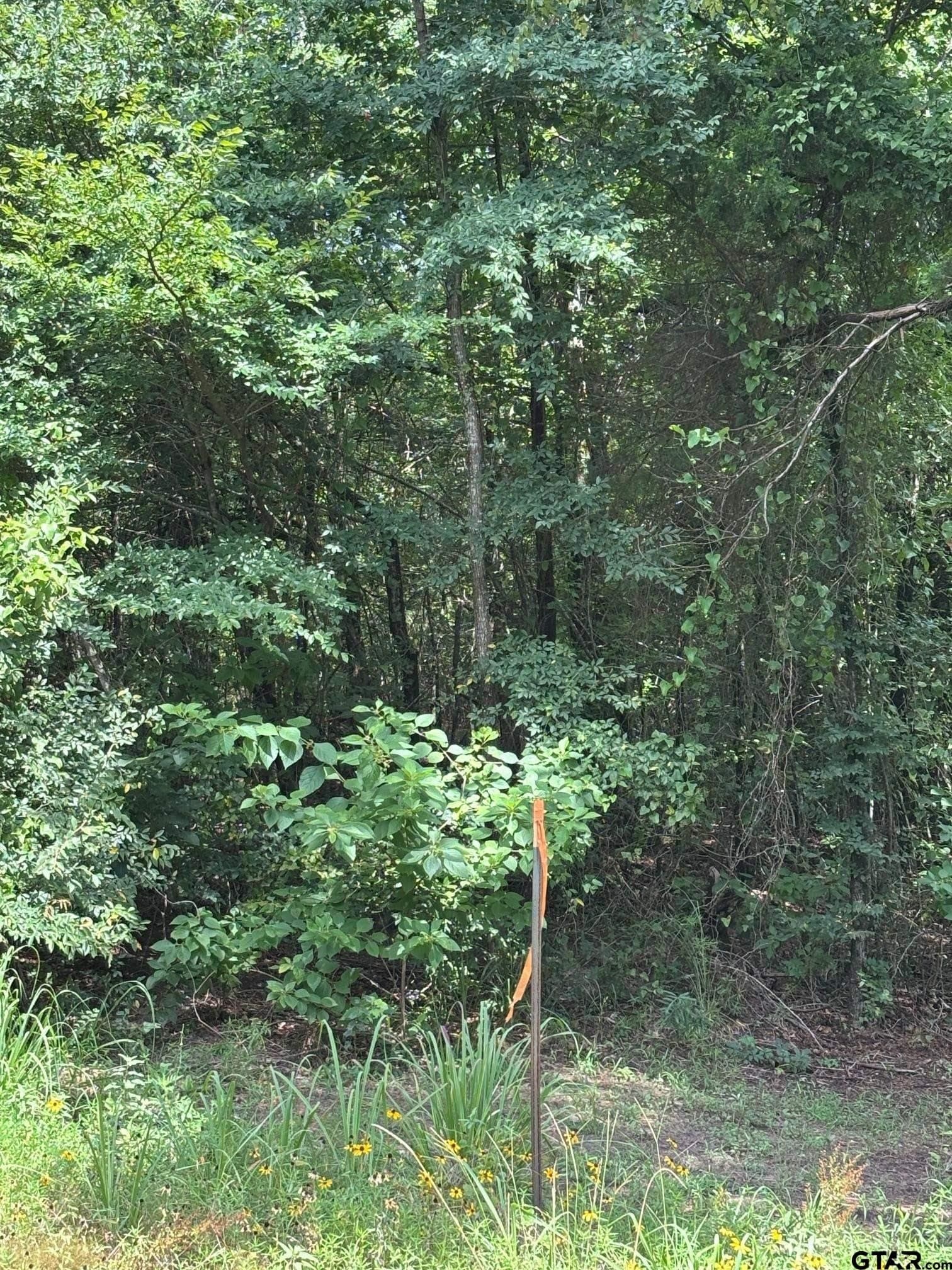 10 acres in Wood County - photo 5