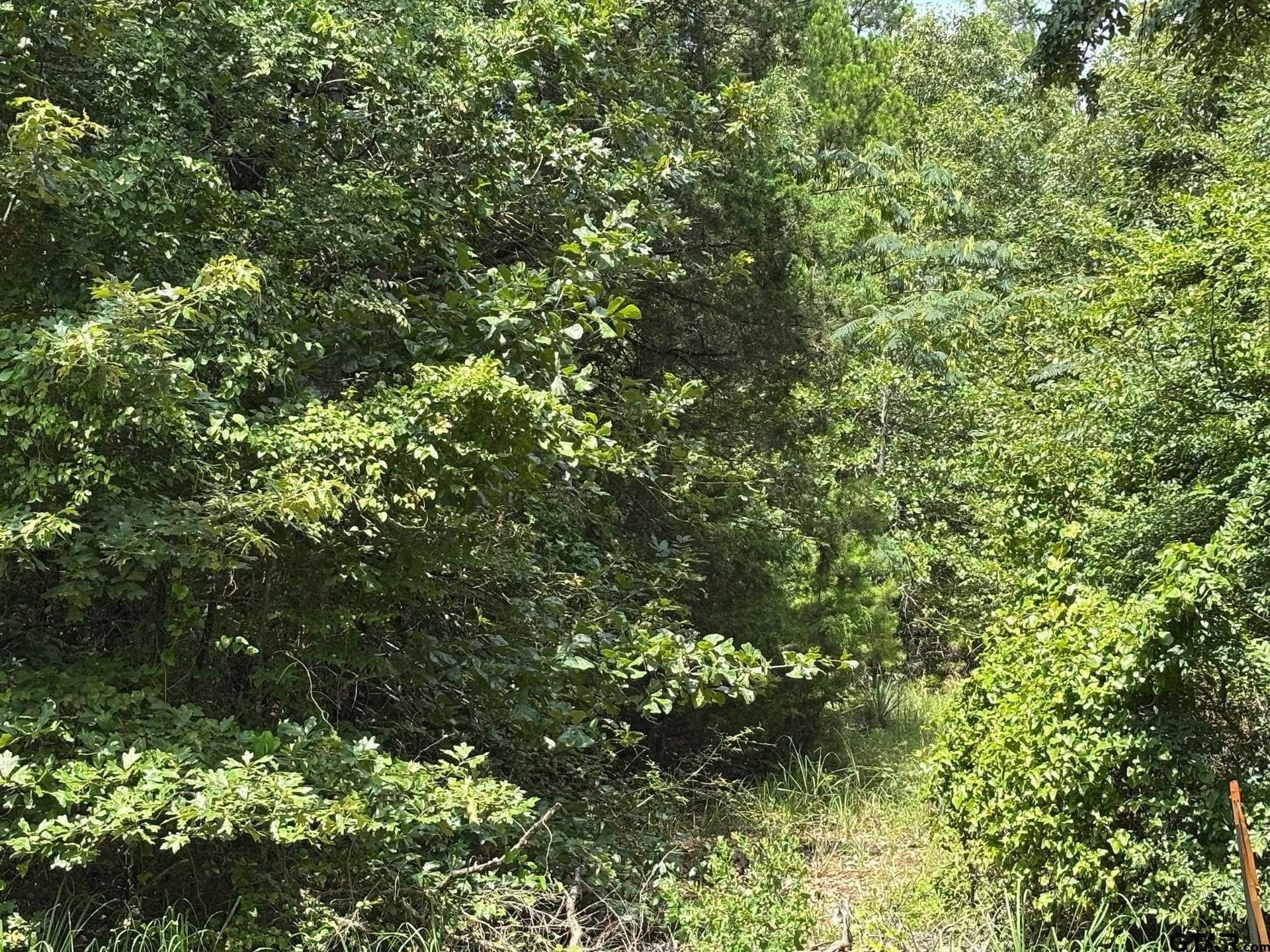 10 acres in Wood County - photo 8