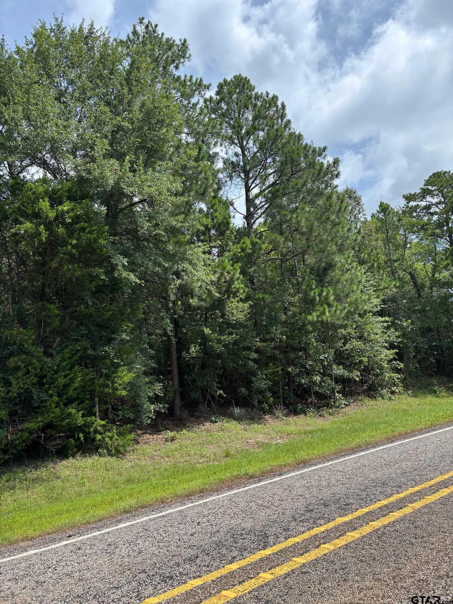 10 acres in Wood County - photo 9
