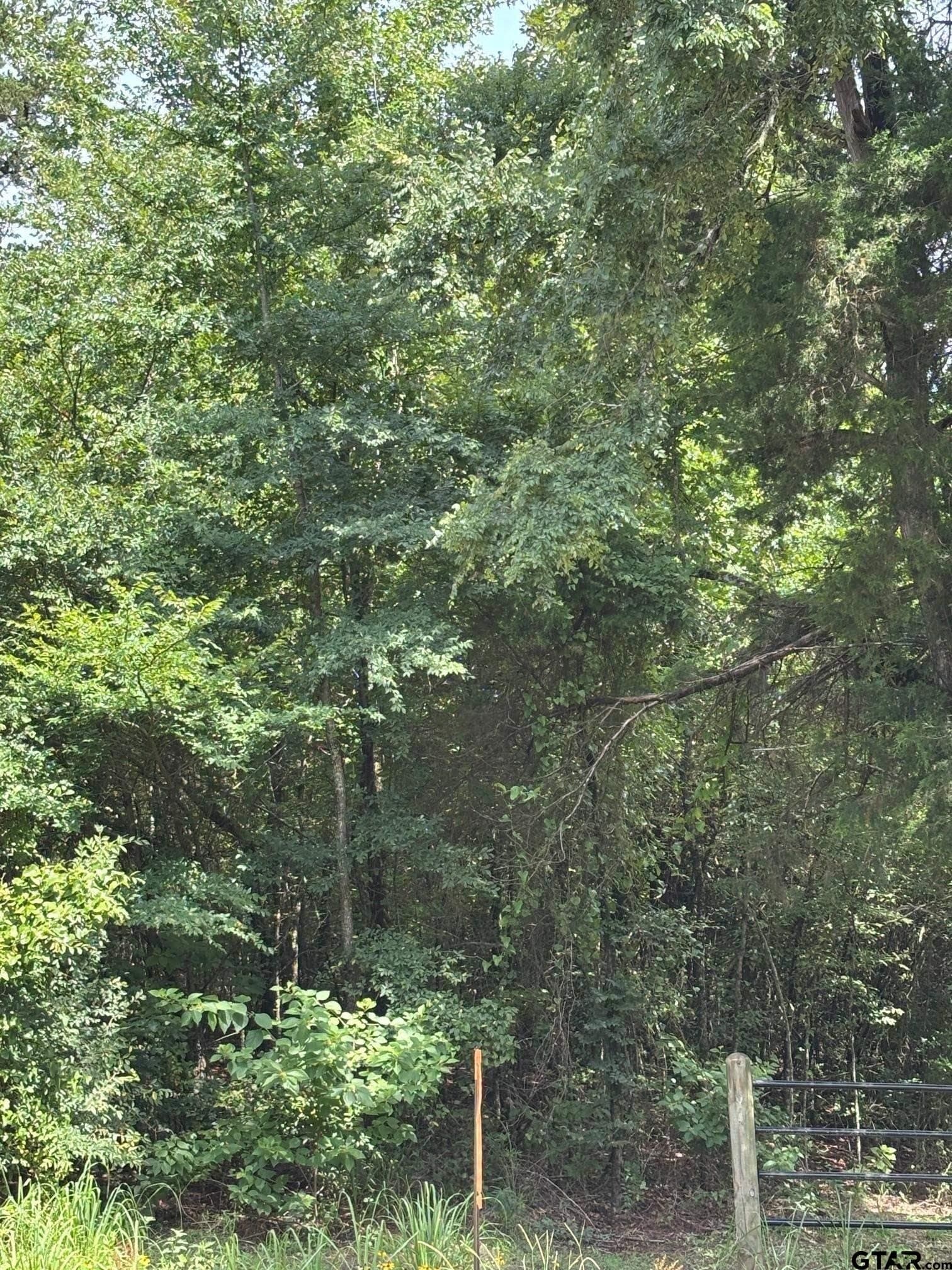 10 acres in Wood County - photo 11
