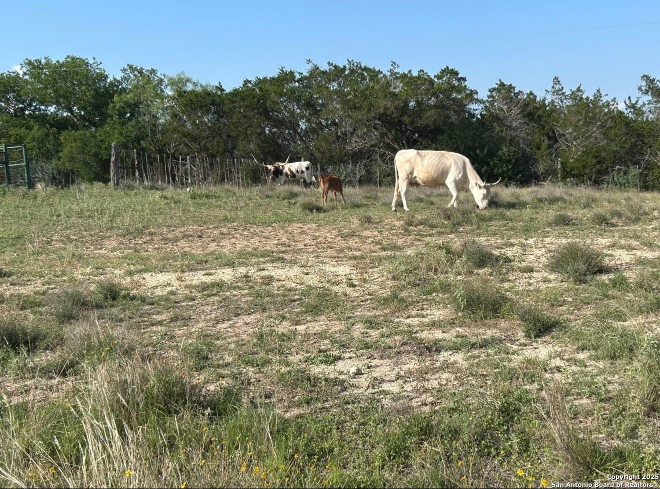 5.03 acres in Kerr County - photo 11