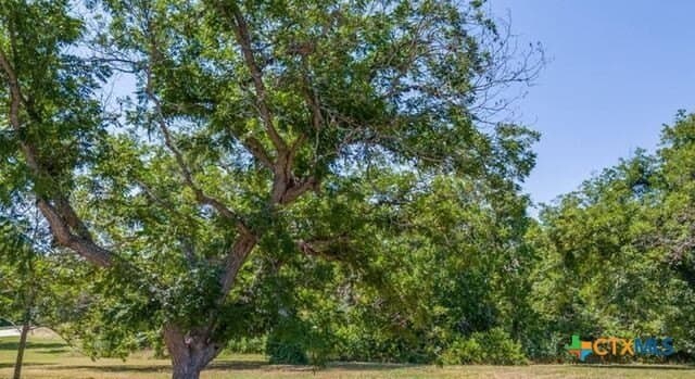 0.52 acres in Guadalupe County - photo 3