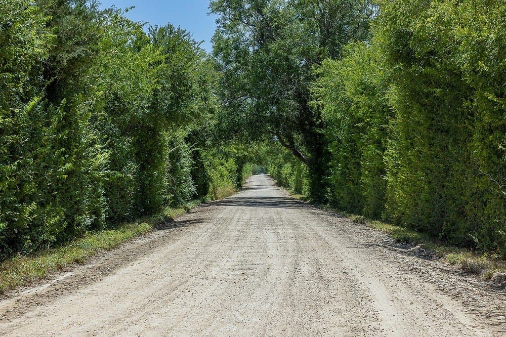 22 acres in Washington County - photo 3