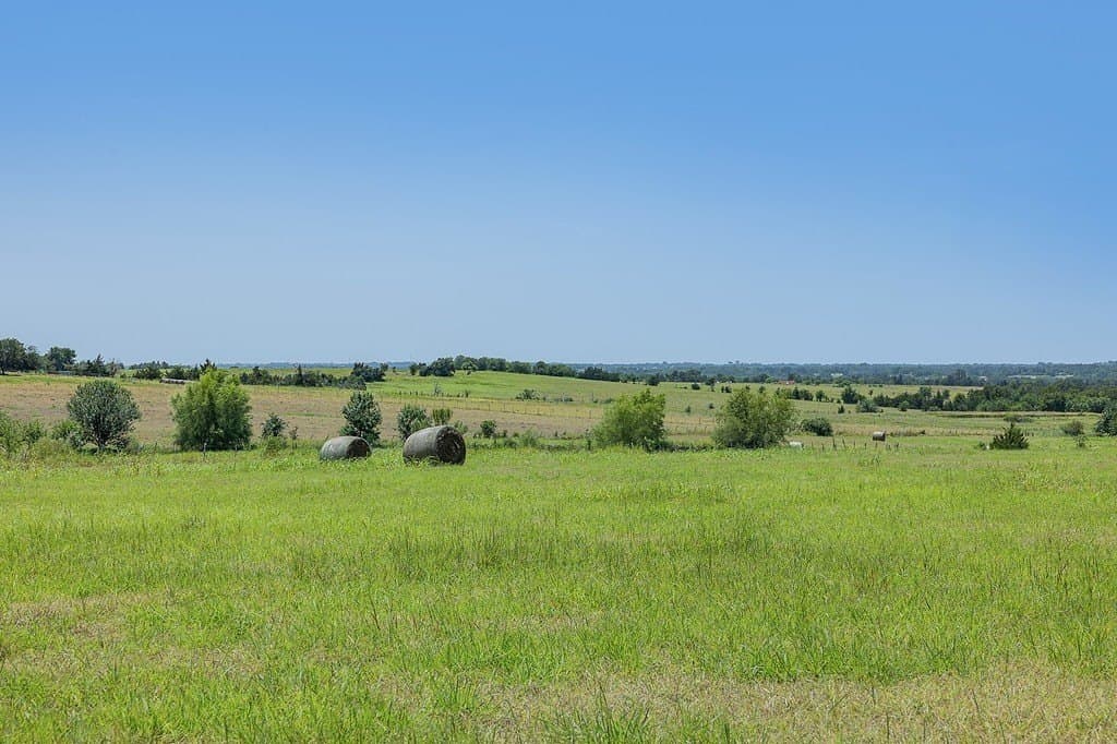 22 acres in Washington County - photo 5