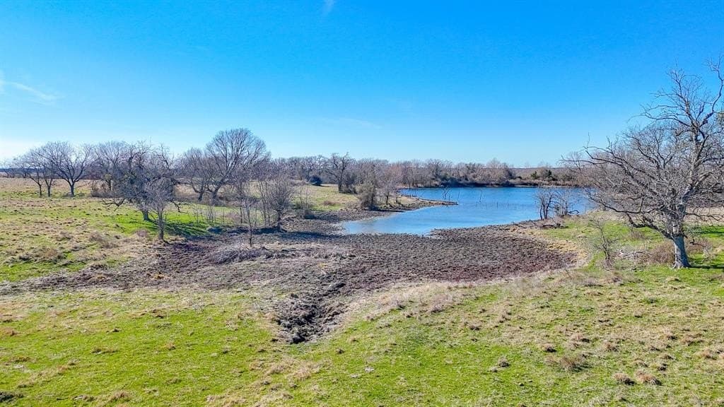 115.31 acres in Navarro County - photo 4