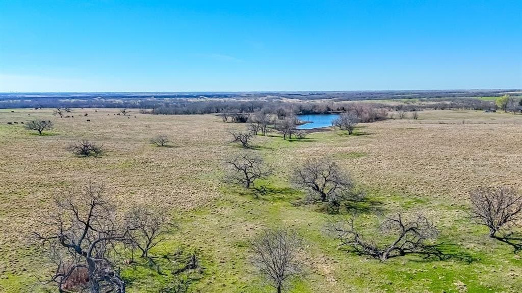 115.31 acres in Navarro County - photo 21