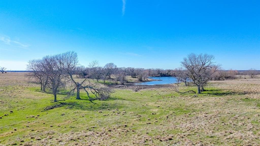 115.31 acres in Navarro County - photo 22