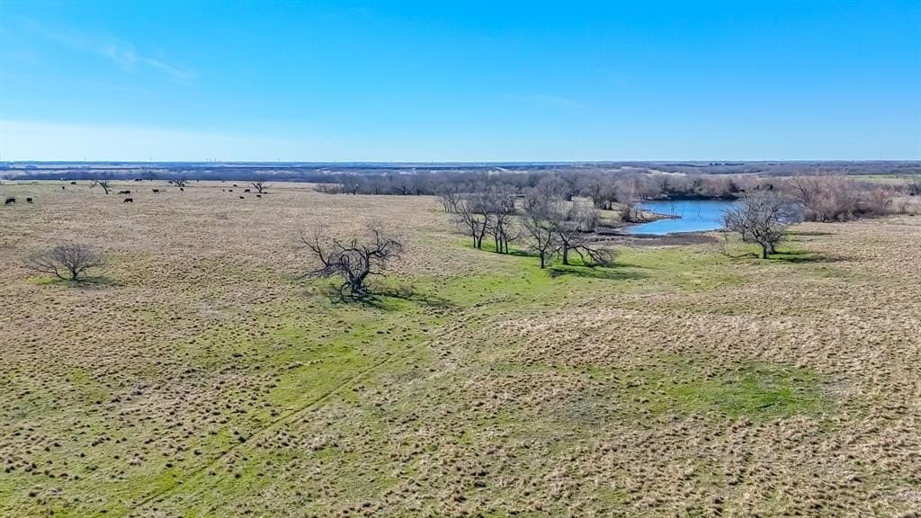 115.31 acres in Navarro County - photo 5