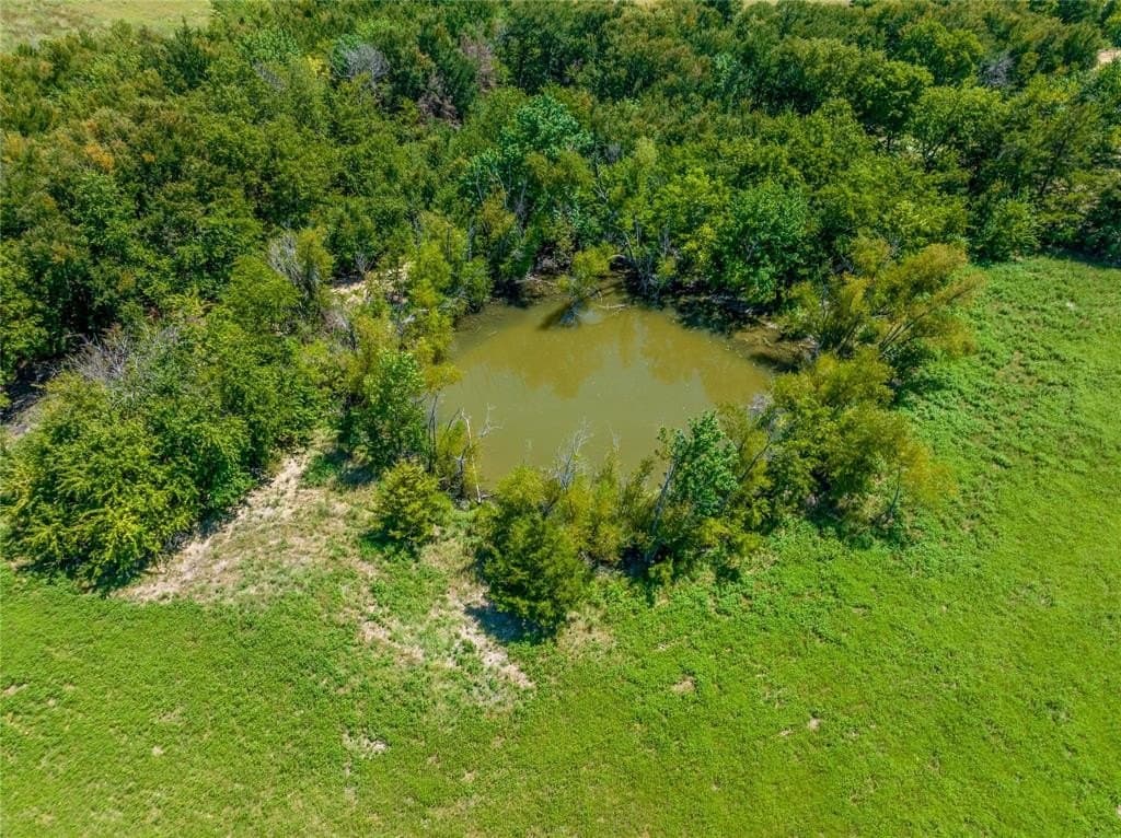 15 acres in Lamar County - photo 4