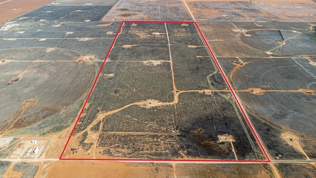 240 acres in Gaines County - photo 4