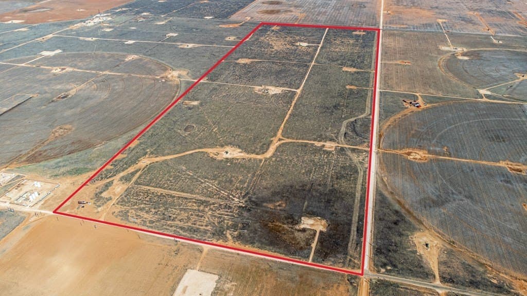 240 acres in Gaines County - photo 3