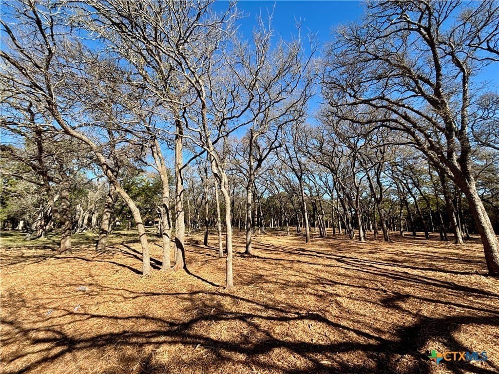 1.23 acres in Coryell County - photo 10