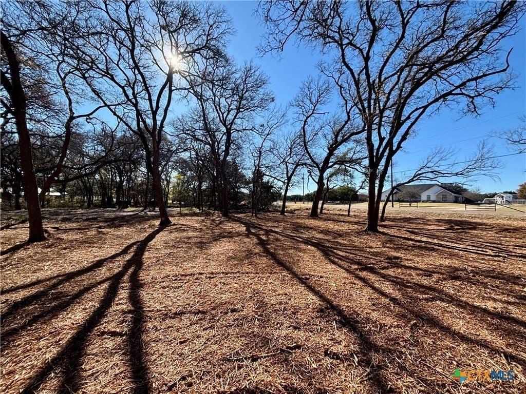 1.23 acres in Coryell County - photo 4