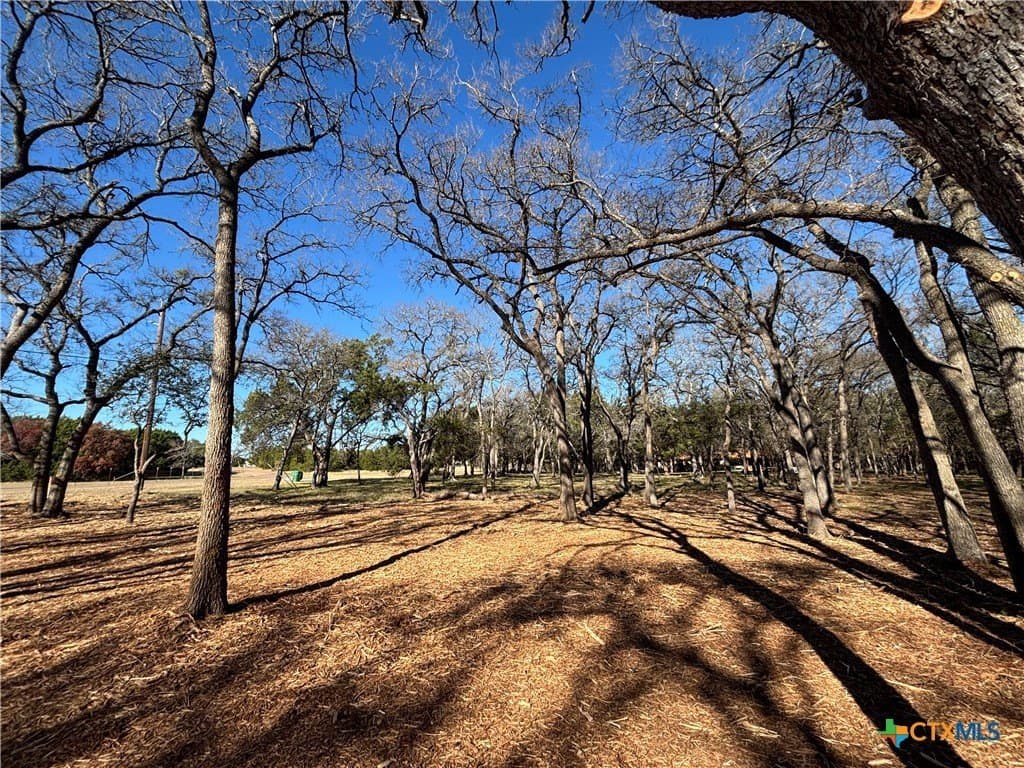 1.23 acres in Coryell County - photo 3