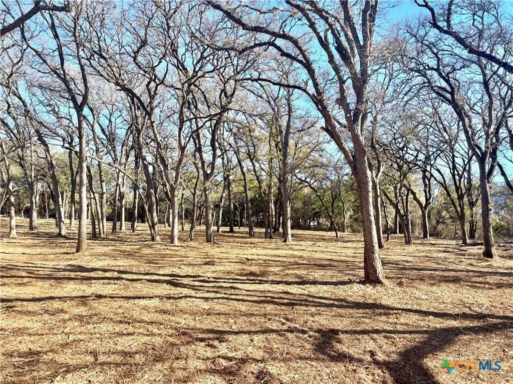1.23 acres in Coryell County - photo 7