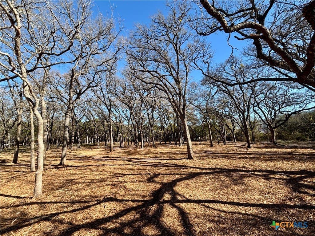 1.23 acres in Coryell County - photo 6