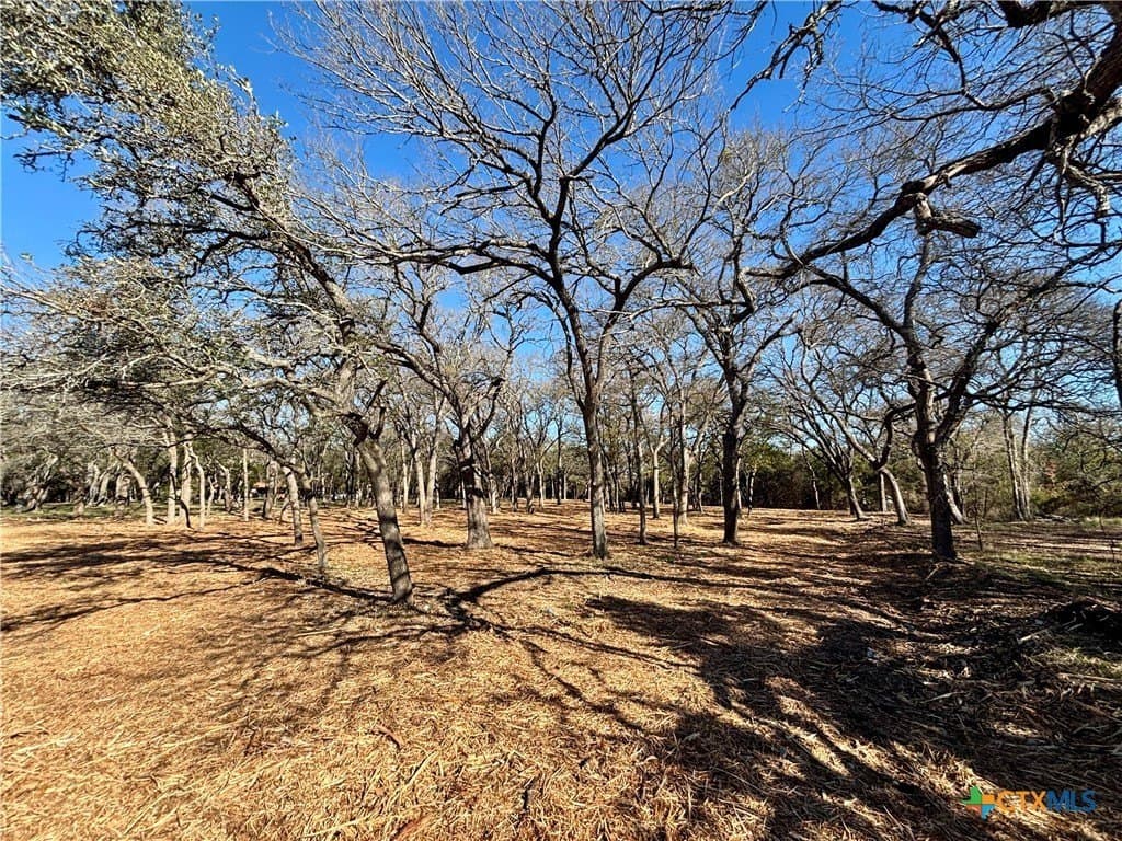 1.23 acres in Coryell County - photo 8