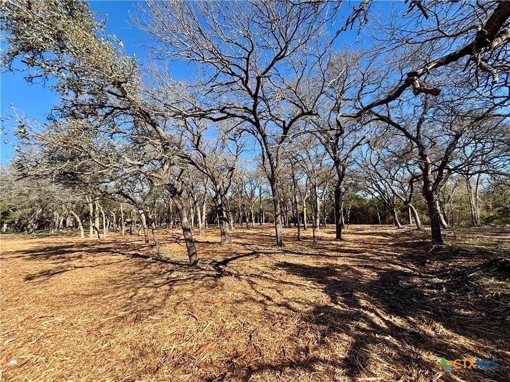 1.23 acres in Coryell County - photo 9