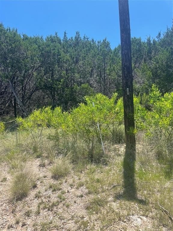 12.59 acres in Burnet County - photo 16
