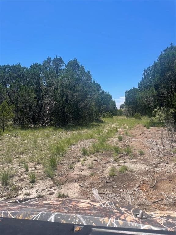 12.59 acres in Burnet County - photo 17