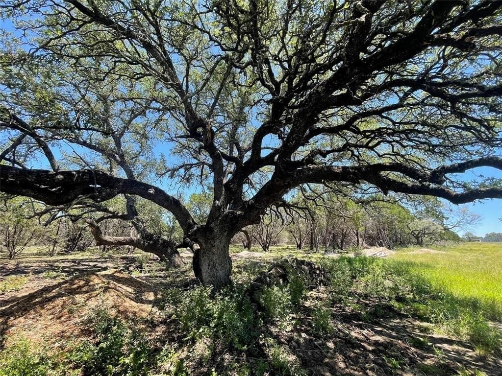 12.59 acres in Burnet County - photo 10