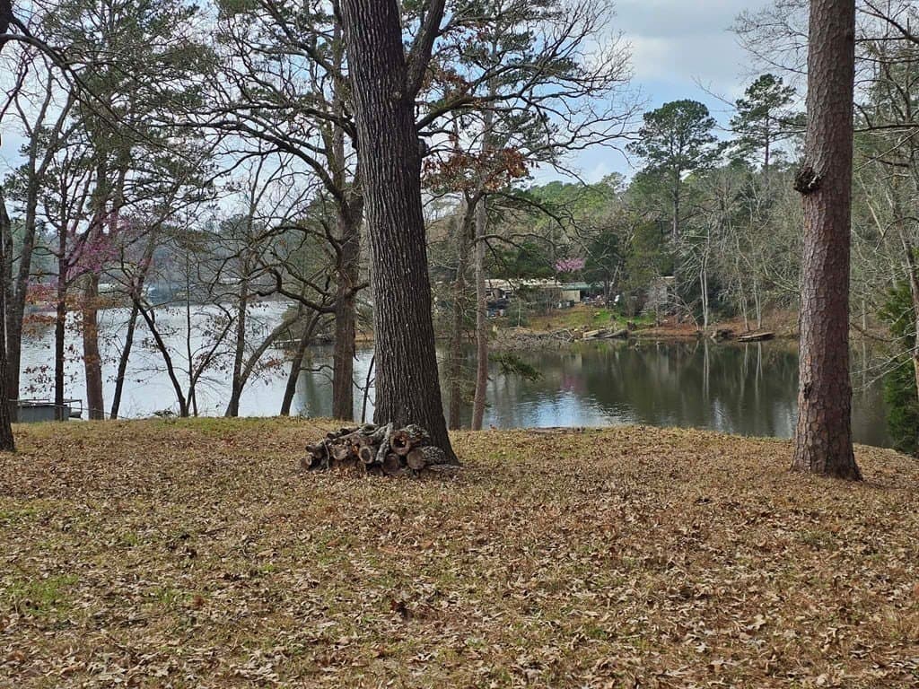 0 acres in ANDERSON County - photo 5