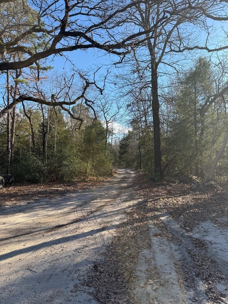 22.3 acres in ANDERSON County - photo 10