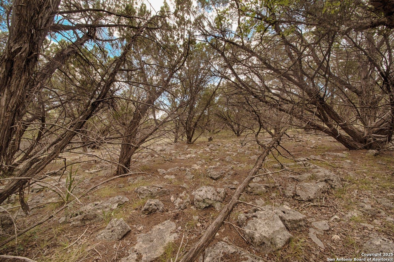 5.01 acres in Bandera County - photo 12