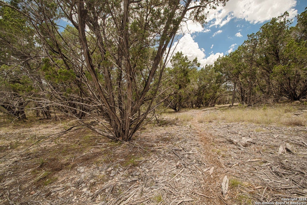 5.01 acres in Bandera County - photo 11