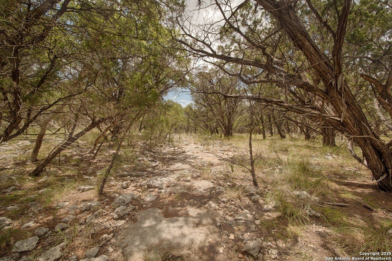 5.01 acres in Bandera County - photo 6