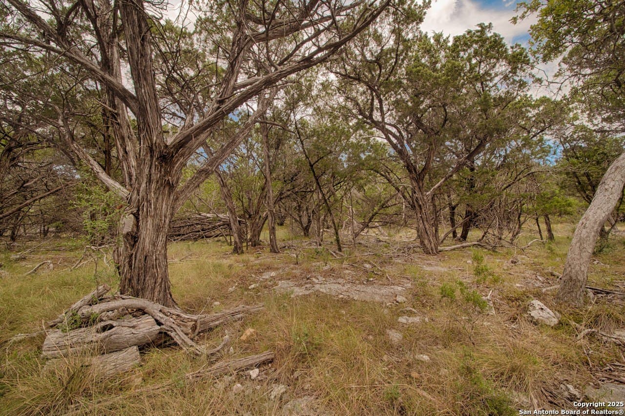 5.01 acres in Bandera County - photo 5