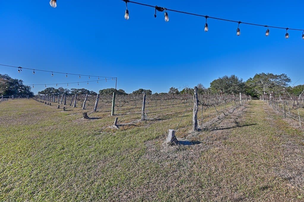 13 acres in Colorado County - photo 22