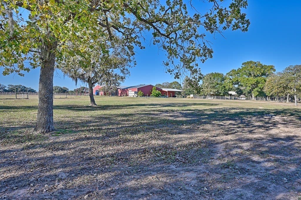 13 acres in Colorado County - photo 18