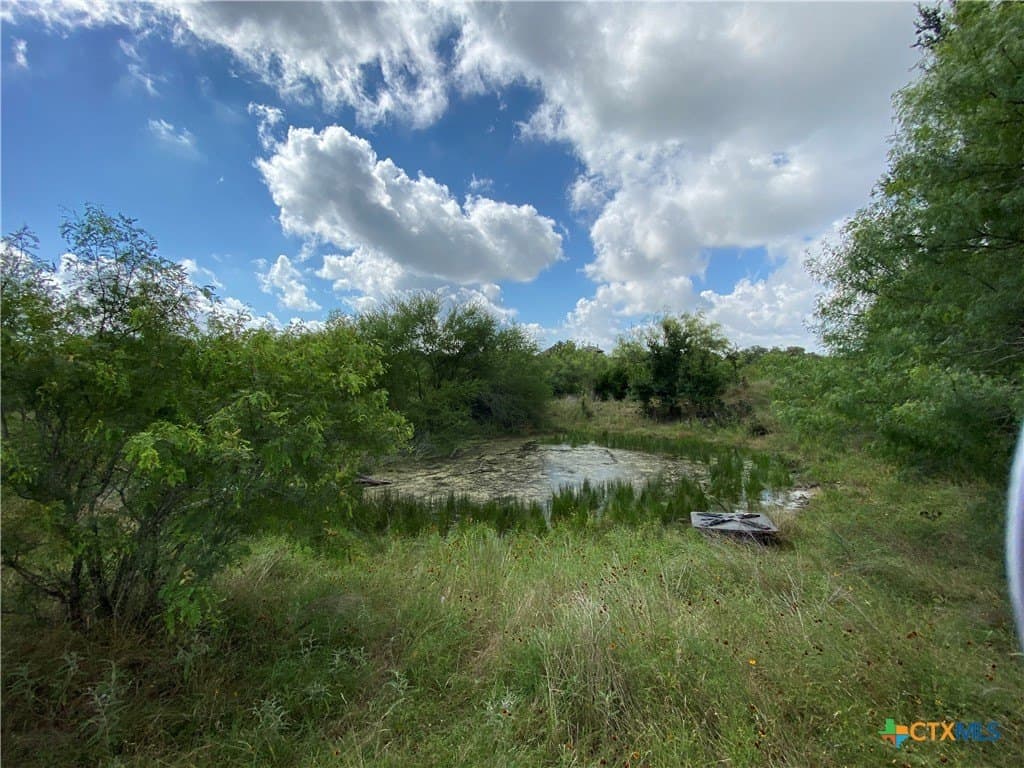 57.11 acres in Hays County - photo 18