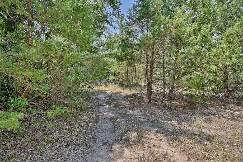 4 acres in Burleson County - photo 9