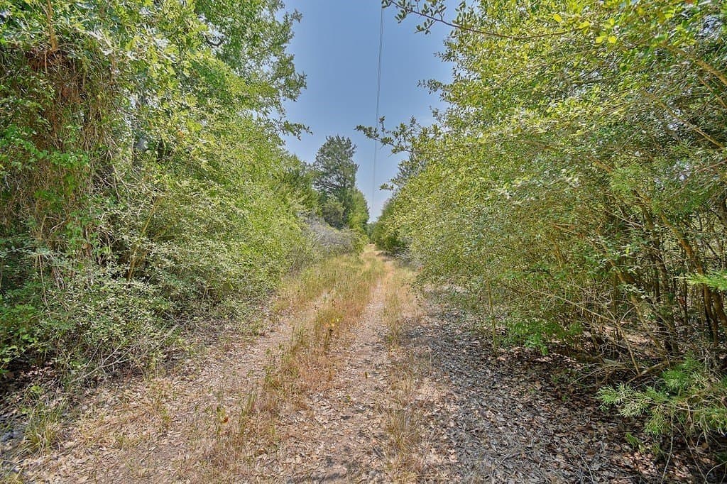 4 acres in Burleson County - photo 18