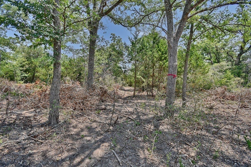4 acres in Burleson County - photo 21