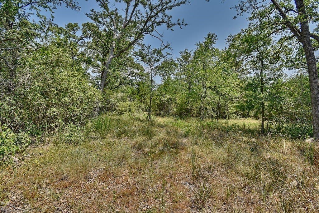 4 acres in Burleson County - photo 11