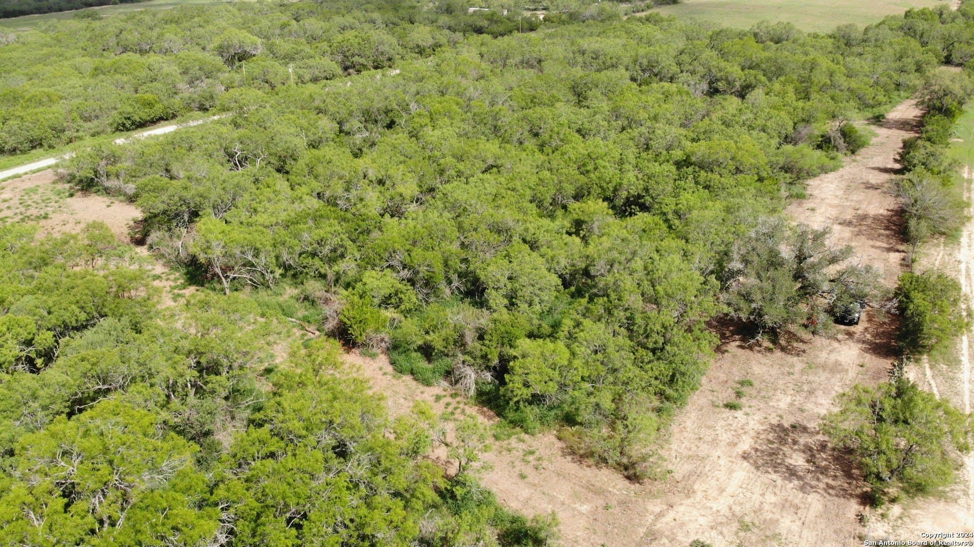 0.16 acres in Atascosa County - photo 7