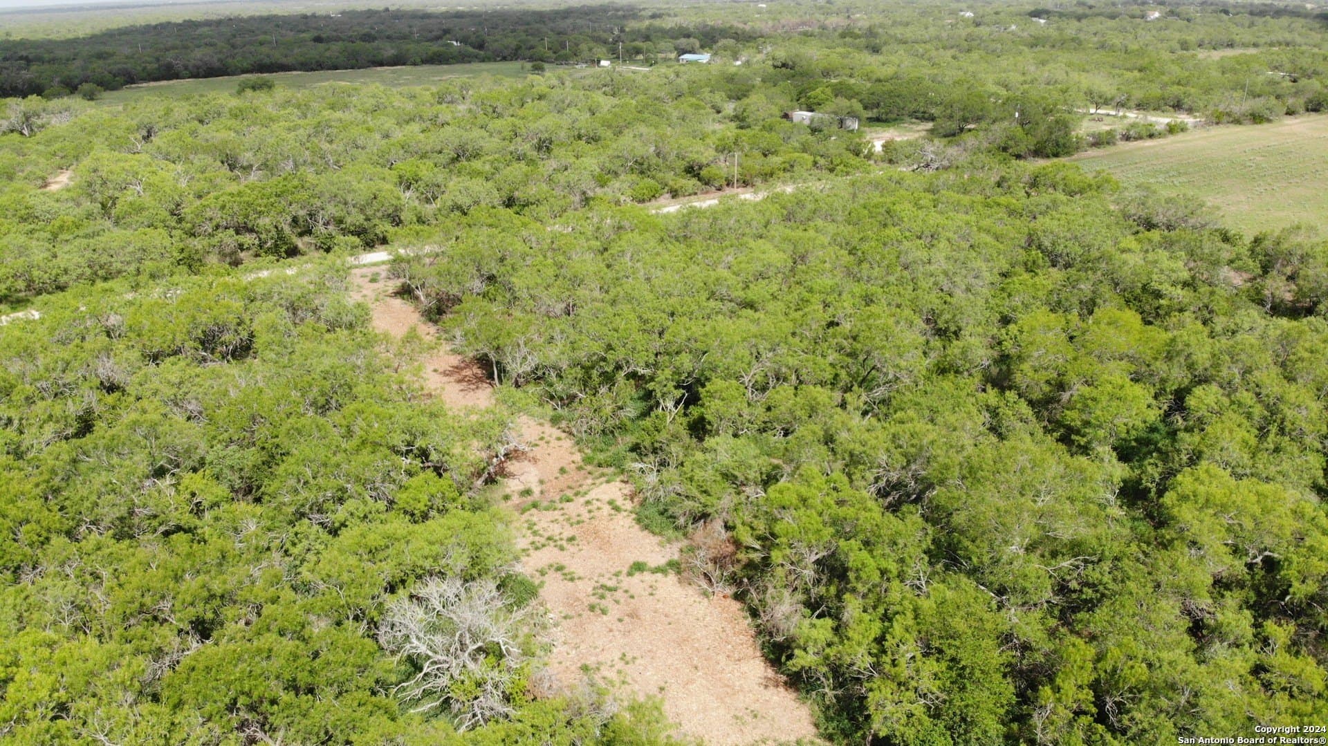 0.16 acres in Atascosa County - photo 8