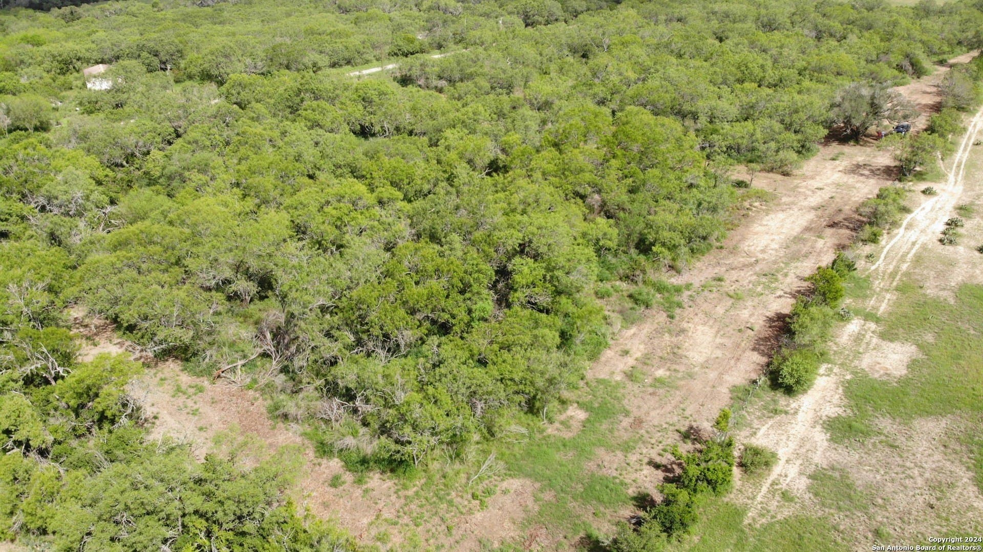 0.16 acres in Atascosa County - photo 5